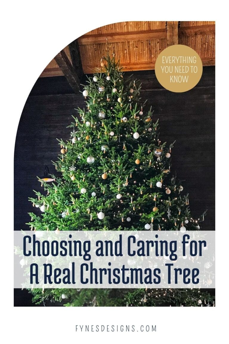 The Ultimate Guide to Choosing and Caring for A Real Christmas Tree ...